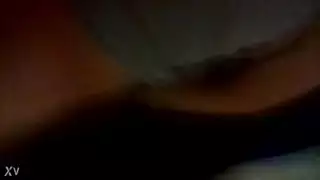 ق الأسد العربي