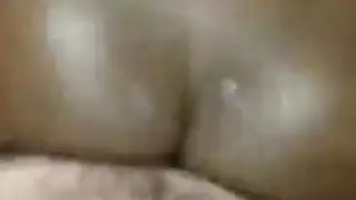 الأبنوس تربية العربية
