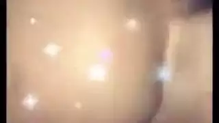 الديك العربي الكبير المسلم