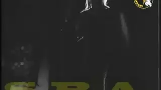 كنوز الأفلام العربية