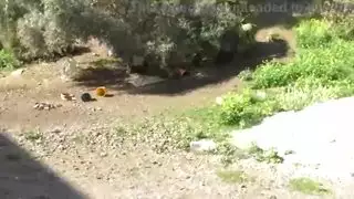 زوجة الديوث المسلمين المسلمين تمارس الجنس في الأماكن العامة مع الجندي الأمريكي