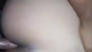 الحمار العربي الساخن فواك