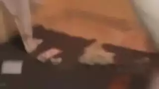 نيك شرموطه مغربيه بطيز مقاطع الفيديو