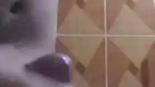 الاستمناء العربي قادم