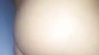ق الحمار العربي و كس كبير