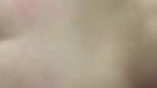 الحمار العربي الكبير