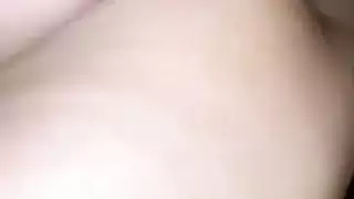 الجنس العربي مصر الحمار الكبير شارموتا