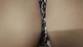 الفرخ العربي يأخذ الديك الأبيض