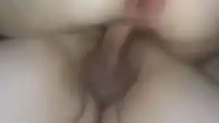الديك التركي الكبير