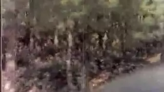 بوسك