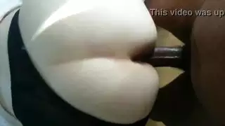 البهجة التركية الحصول على الديك الأسود من الخلف