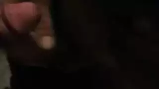 فروج تركي
