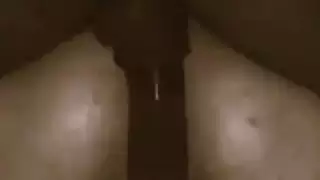 هي مثل في الحمار العربي