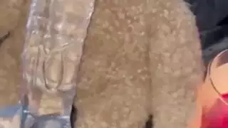 سلوتي فتاة مدمنة على الاستمناء مع الطعام غريب الإباحية الهواة العربية سنووايتلوس أنجلوسالولايات المتحدة الأمريكية