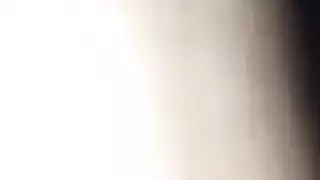 الحمار العربي
