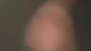 فيد