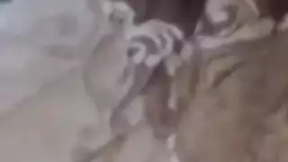فتاة تسقط سراويلها الداخلية لحبيبها التركي