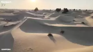 ليندا ديل سول الليالي العربية