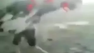الديك الأسود العربي